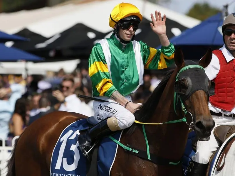 Pinup Miss returns to scale after winning at Newcastle.