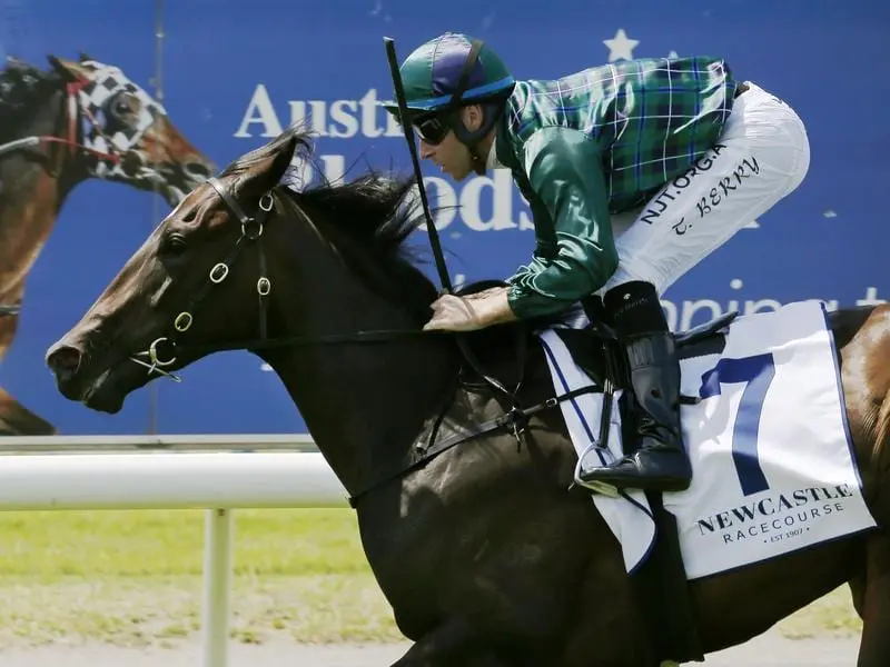 Tilia Rose wins at Newcastle.