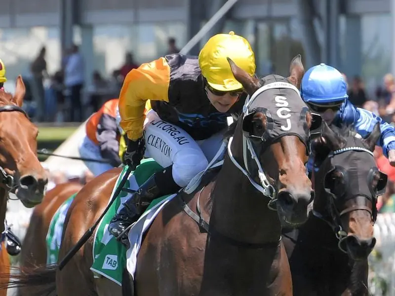 Hit The Target has rewarded the faith of trainer Stephen Jones with a Highway Handicap victory. Hit The Target wins at Rosehill.