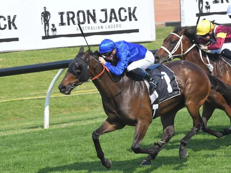 Godolphin veteran Tally has saluted in the Rosehill Gold Cup for jockey James McDonald. Tally wins the $500,000 Rosehill Gold Cup.