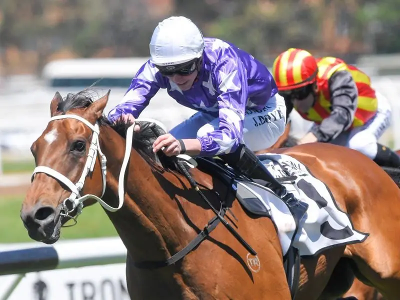 James Doyle has been reunited with Humbolt Current to win a staying race at Rosehill. Humbolt Current wins at Rosehill for jockey James Doyle.