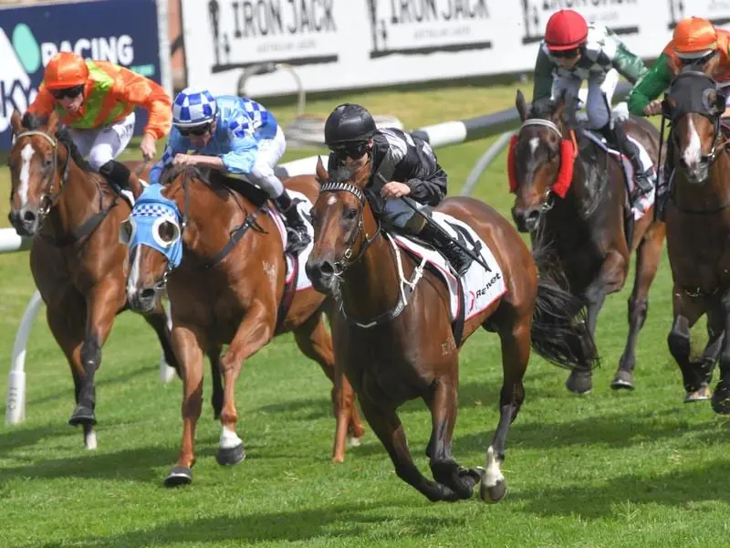 Invictus Salute wins at Rosehill.