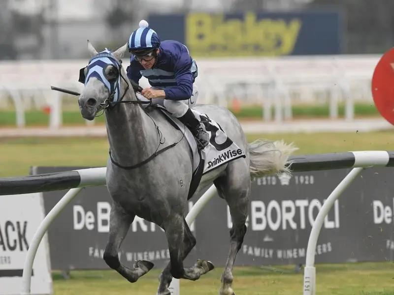 Spending To Win in full flight at Rosehill.