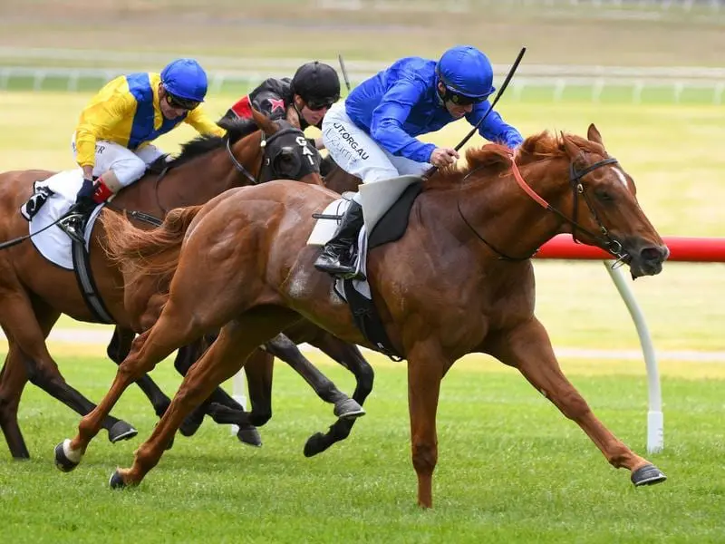 Hanseatic wins the Merson Cooper Stakes.