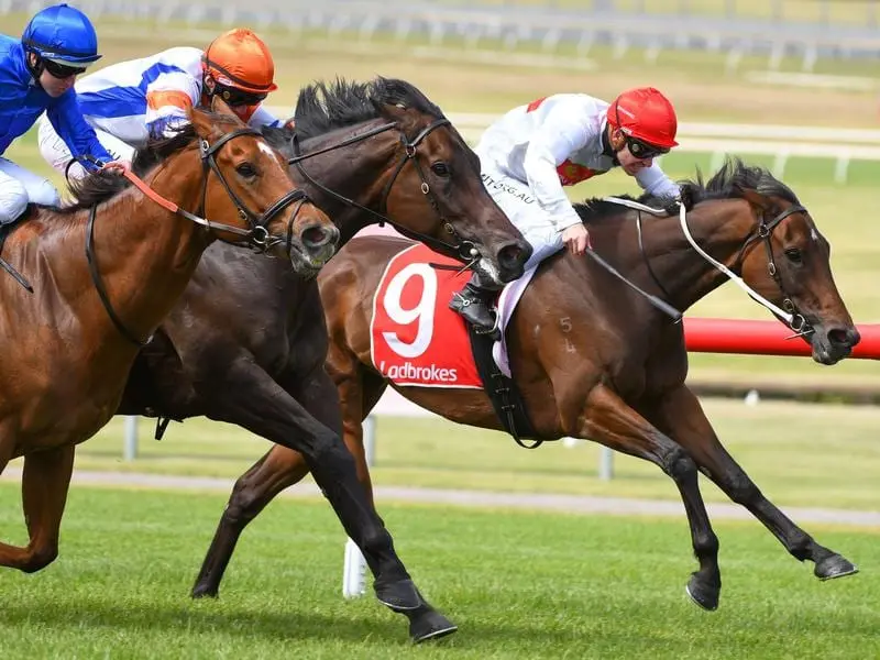 Teleplay (right) wins the Kevin Heffernan Stakes.