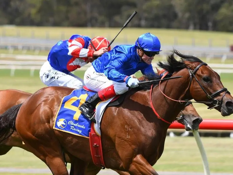 Viridine wins the Doveton Stakes.