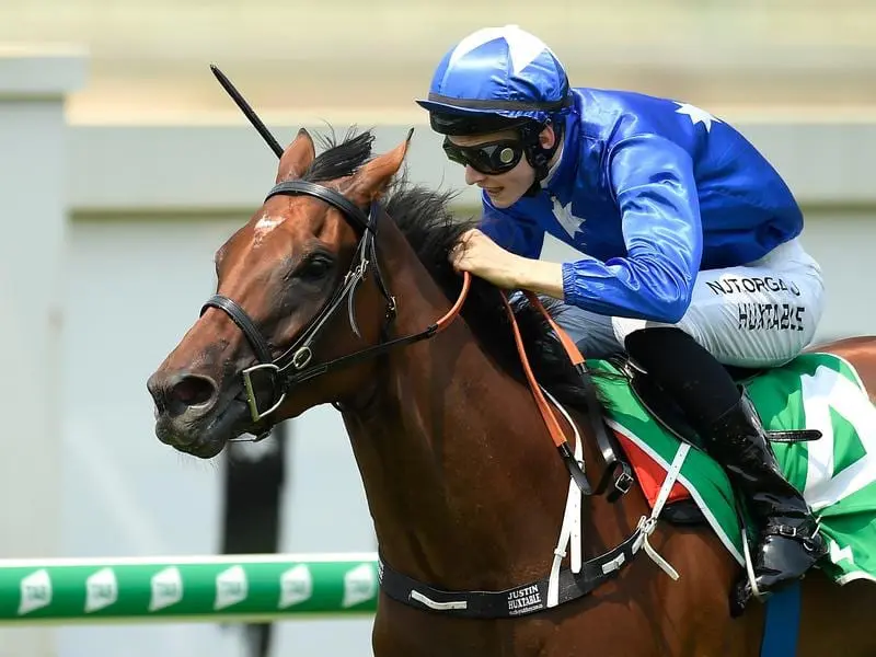 Smart Meteor wins at Doomben.