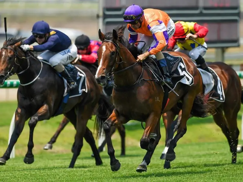 Red Stilleto wins at Doomben.