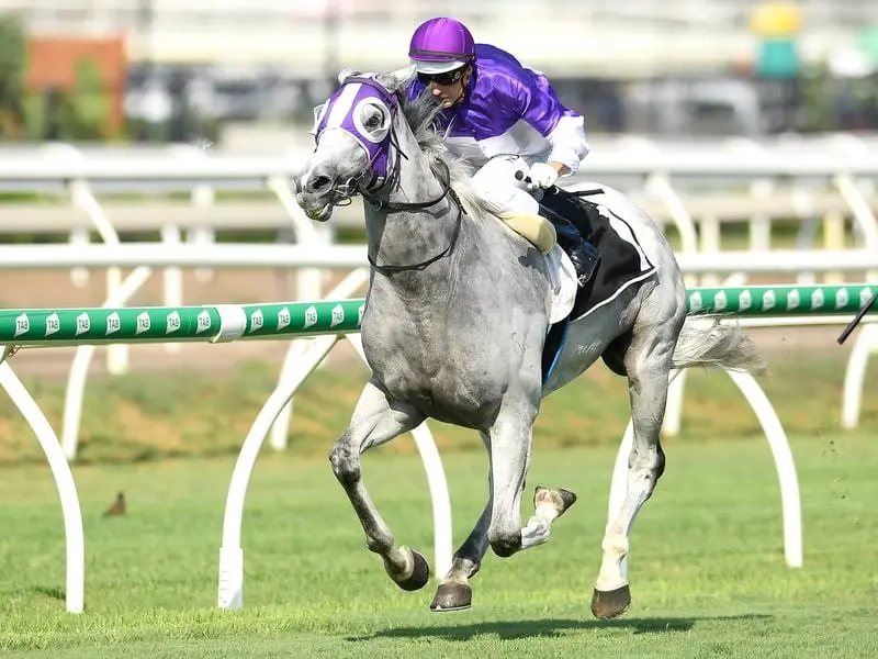 The Candy Man wins at Eagle Farm.