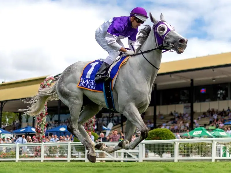 Crowd favourite The Candy Man has secured a wild card entry to the $1 million Magic Millions Trophy. Jockey Brad Stewart rides The Candy Man to victory