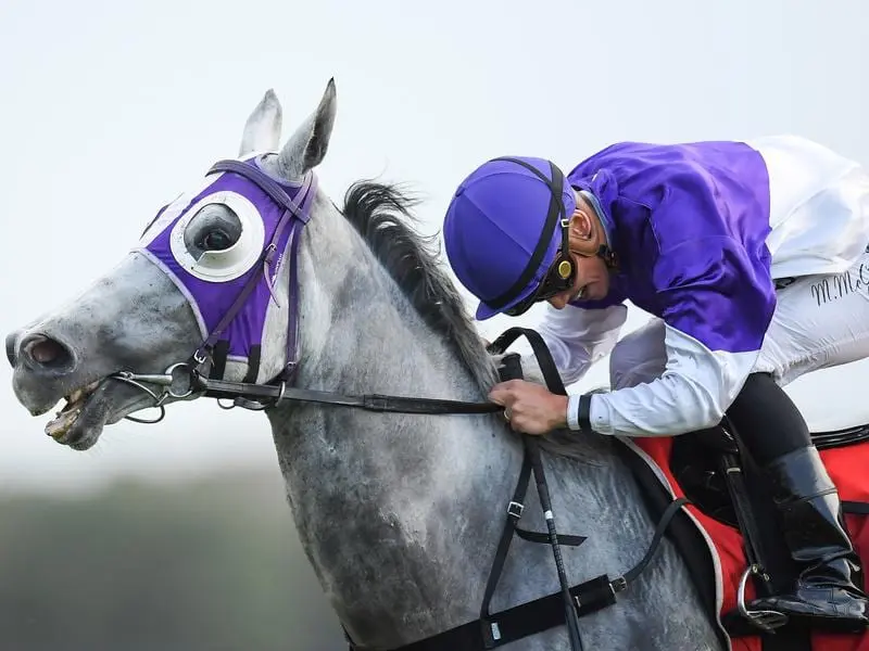 Jockey Matthew McGillivray rides The Candy Man (file image)