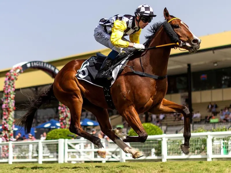 Jockey Ron Stewart rides Profit at Eagle Farm (file image)