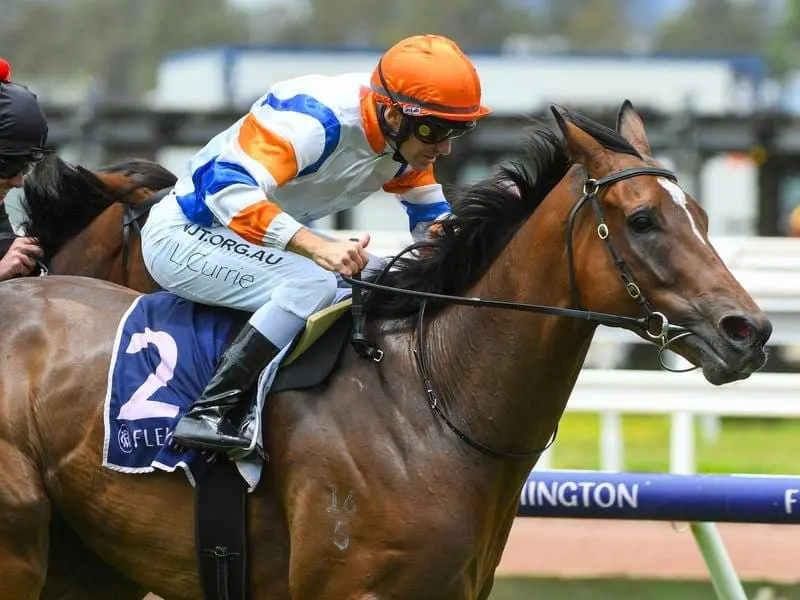 Secret Blaze wins at Flemington.