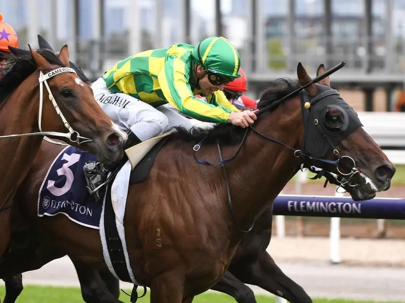 Living The Dream wins at Flemington.