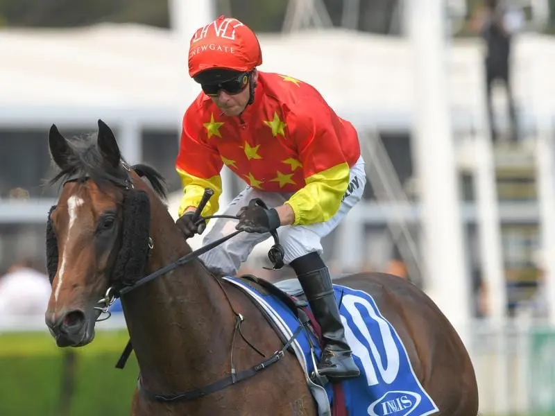 Wild Ruler, winner of the $500,000 Inglis Nursery.