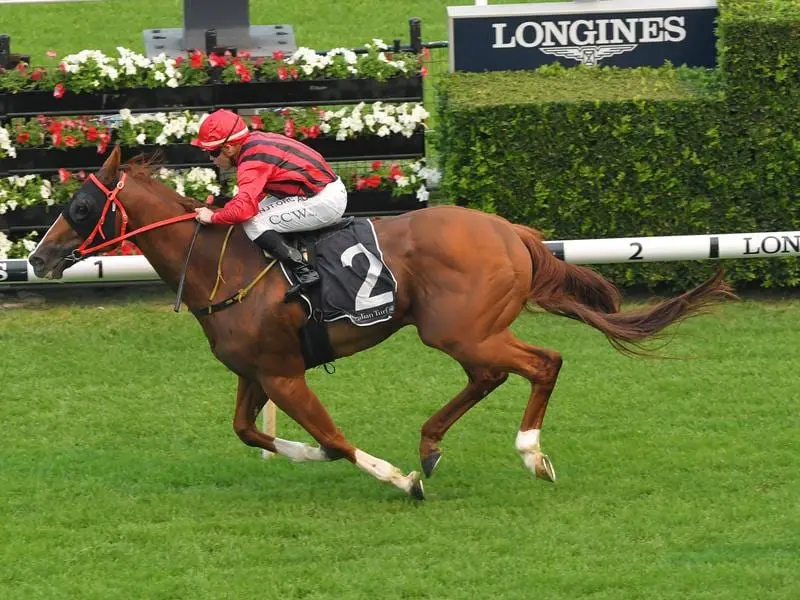 Passage Of Time wins at Randwick.