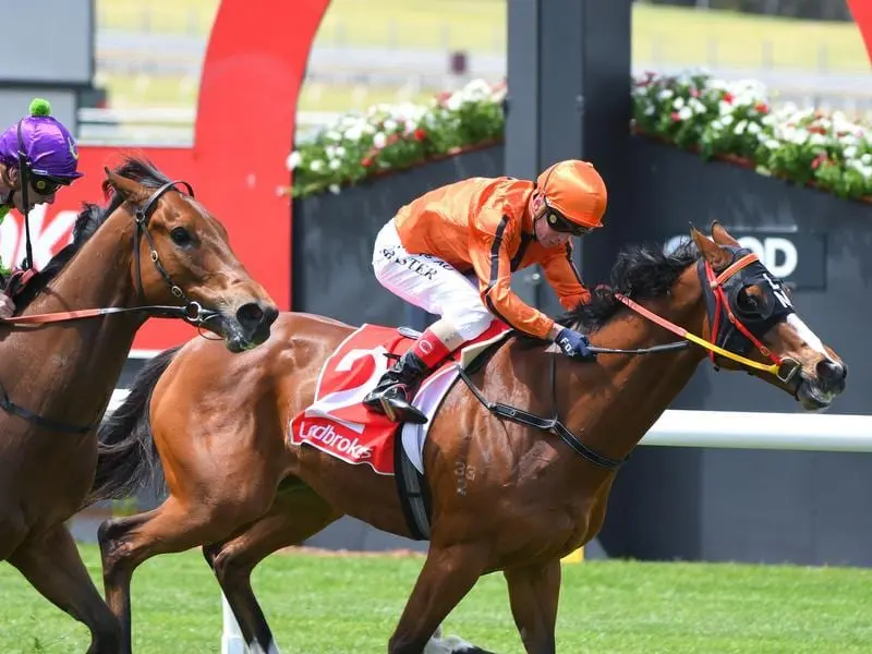 Victorian trainer Logan McGill will decide plans for Gold Fields after the G2 Villiers Stakes. gold fields