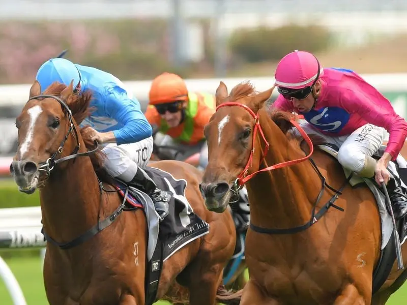 Superium (right) wins at Randwick.