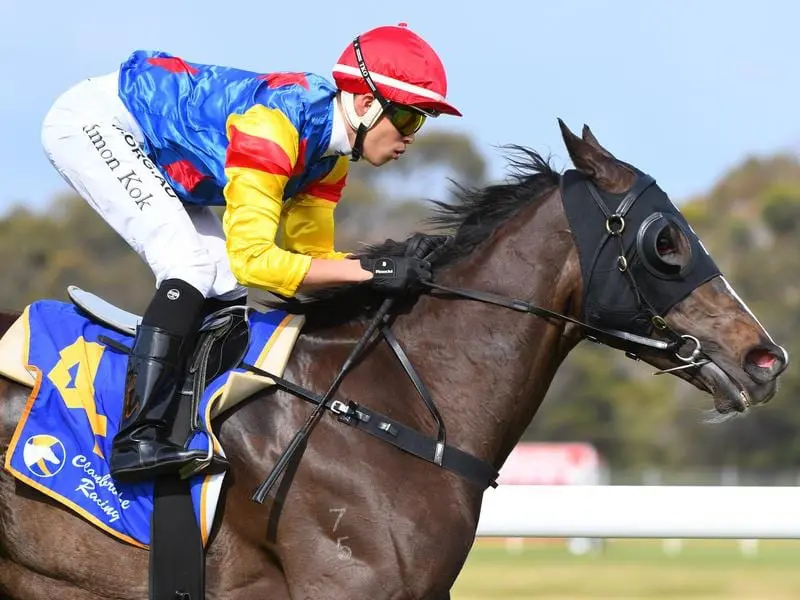 Jockey Simon Kok rides Pierrless to victory