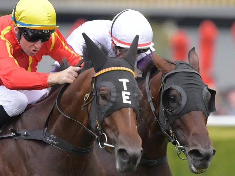 Winter Bride in a Randwick win.