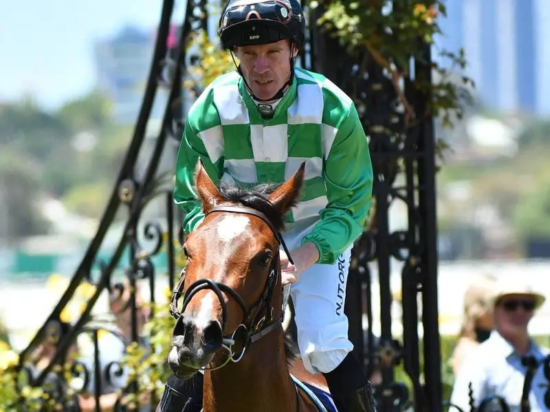 A Beautiful Night returns to scale at Flemington.