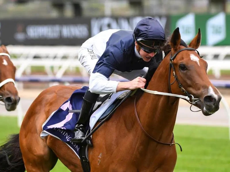 Jabali Ridge wins at Flemington.