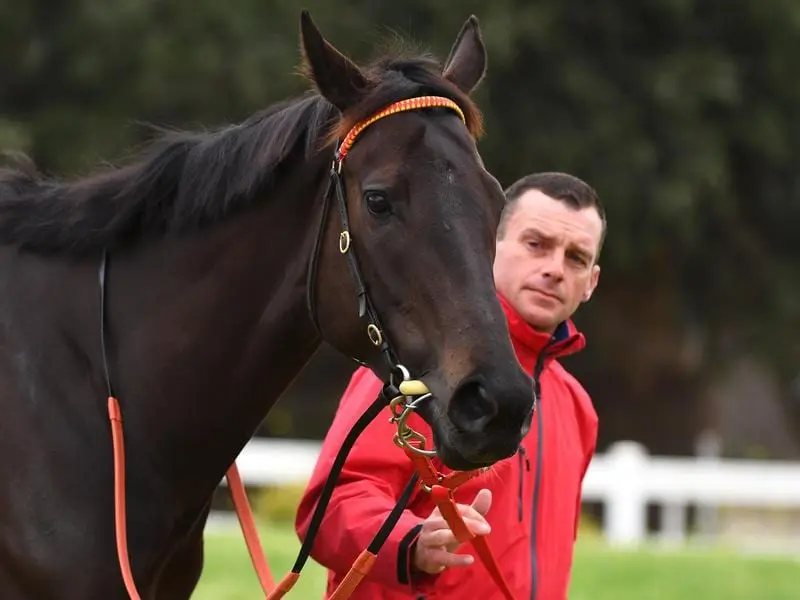 Trainer Adam Trinder with Mystic Journey