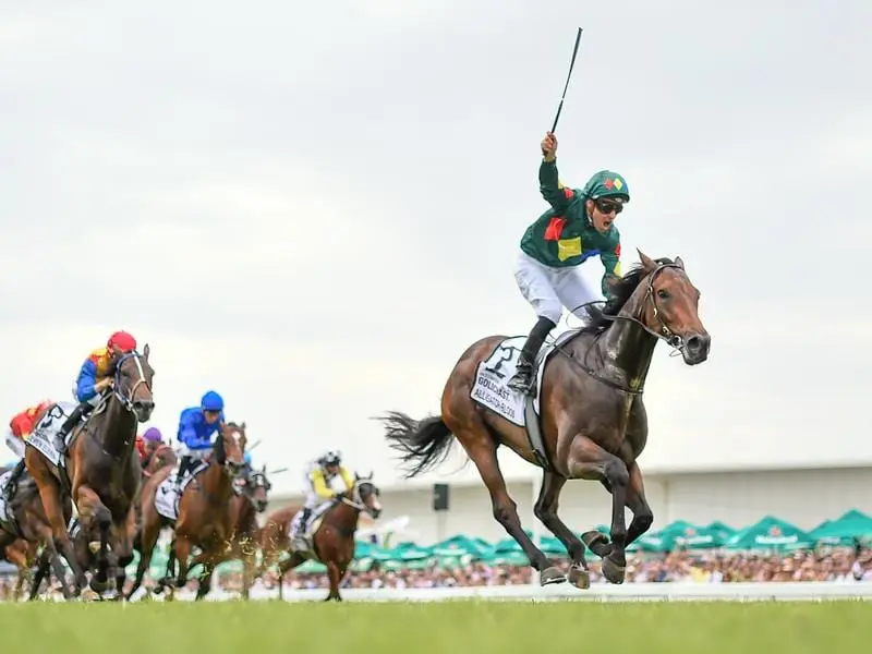 Alligator Blood wins the Magic Millions 3YO Guineas.