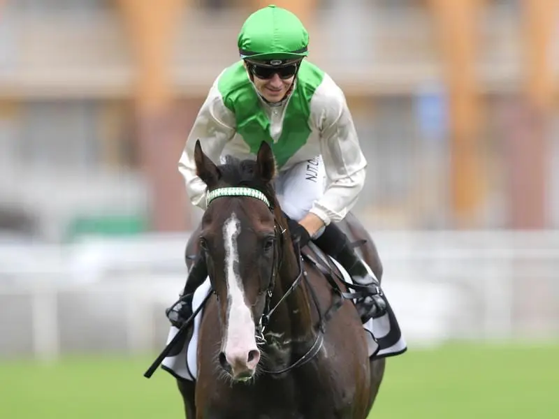 Carrington Stakes winner Cradle Mountain.