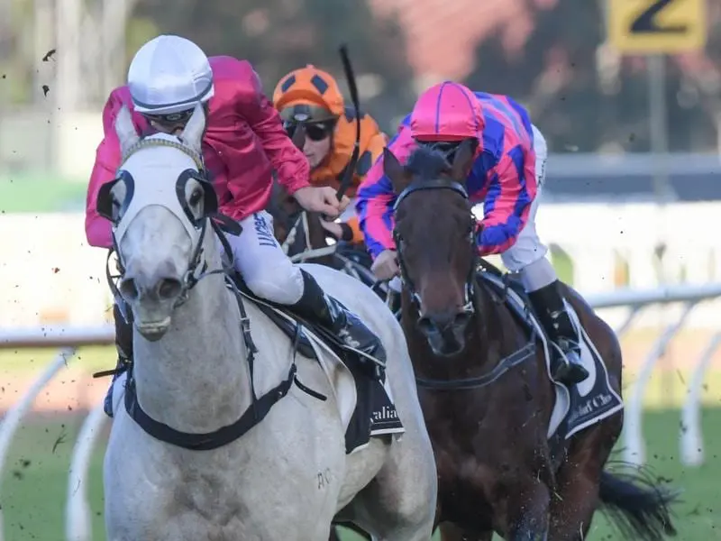 Jay Ford rides Albumin at Rosehill in June 2019