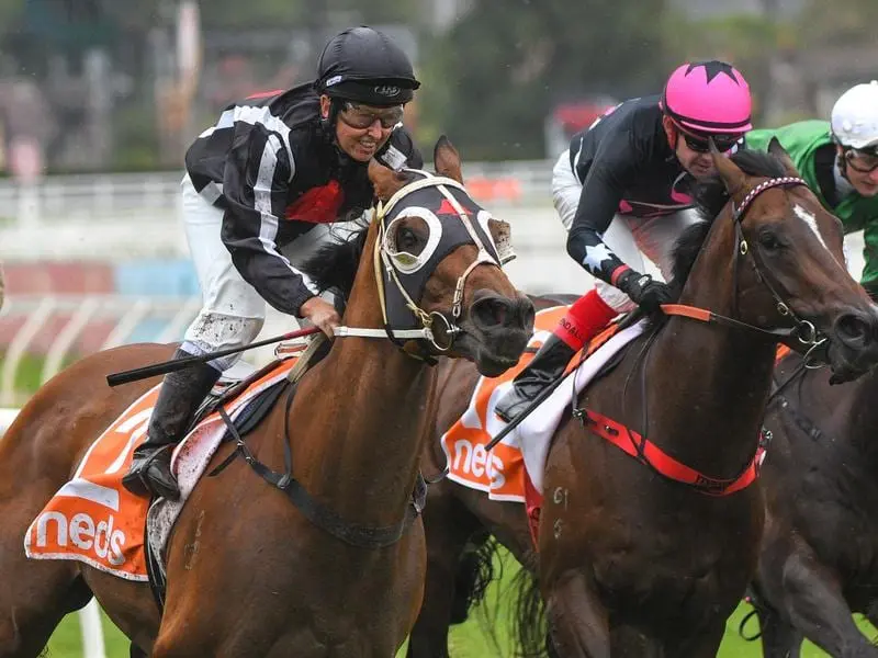 Jade Darose has landed a milestone win on Jungle Edge (left) in the WJ Adams Stakes at Caulfield. Jungle Edge wins the WJ Adams Stakes.