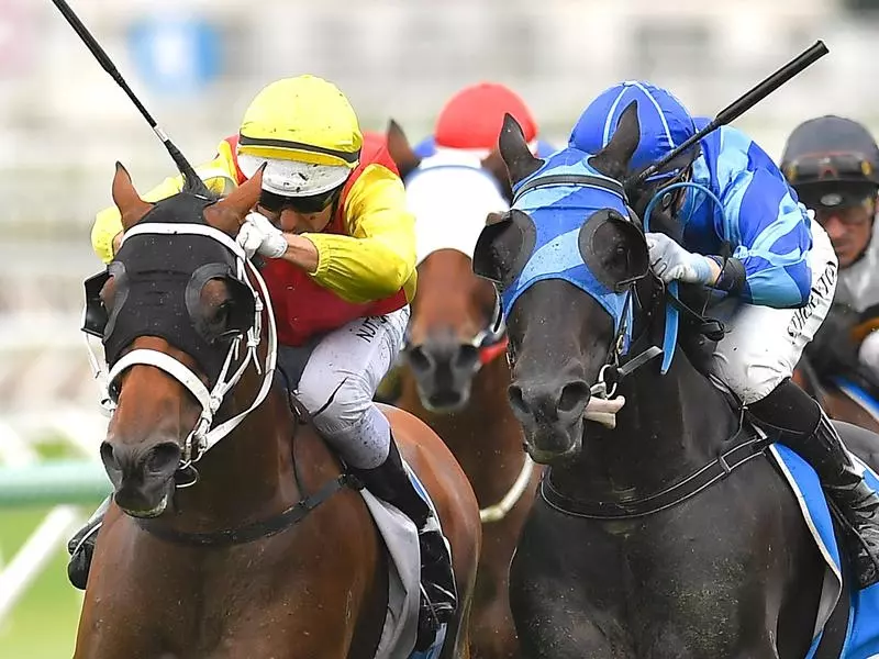 New Universe beat Spectroscope by a nose at Eagle Farm