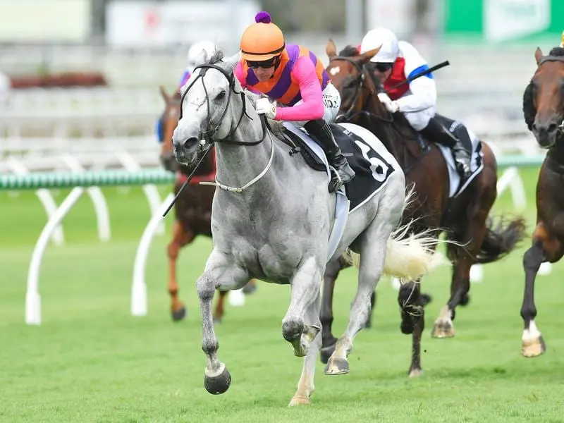 Twilighter wins at Eagle Farm.