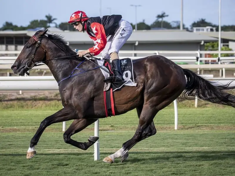 Mishani El Lobo wins at Eagle Farm.