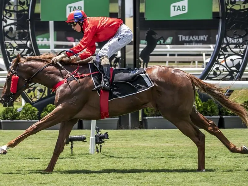 Uncle Frank wins at Eagle Farm.