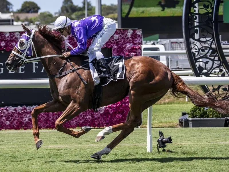 Gresham wins at Eagle Farm.