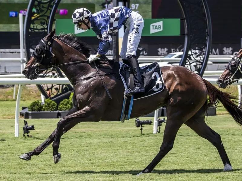 Shalwa wins at Eagle Farm.