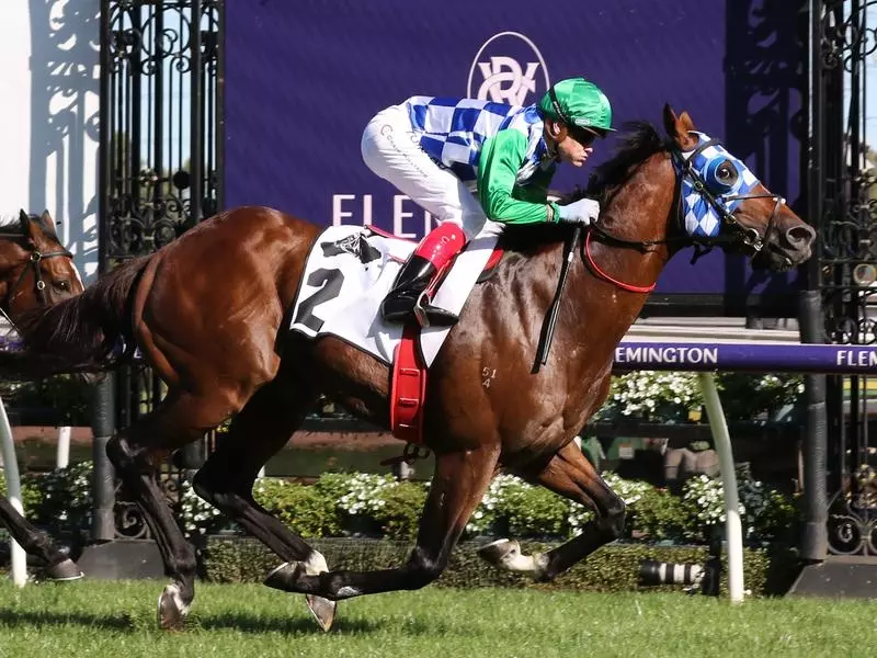 Craig Williams rides Fifty Stars to victory in race 8 at Flemington