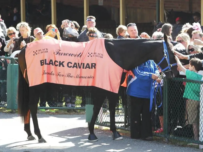 black caviar