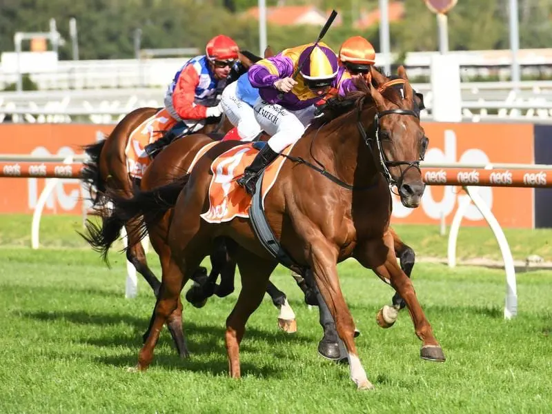 Guizot wins at Caulfield.