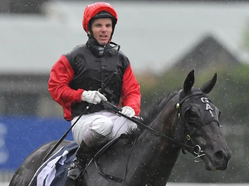 Con Te Partiro after winning the Coolmore Classic.