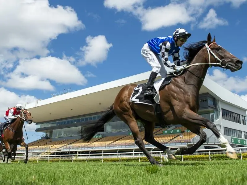 Calibration wins at Doomben.