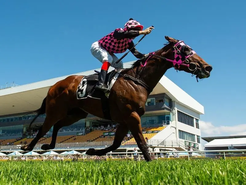 Femme Fireball in a Doomben win.