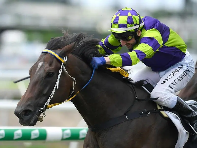 Fortification wins at Eagle Farm.