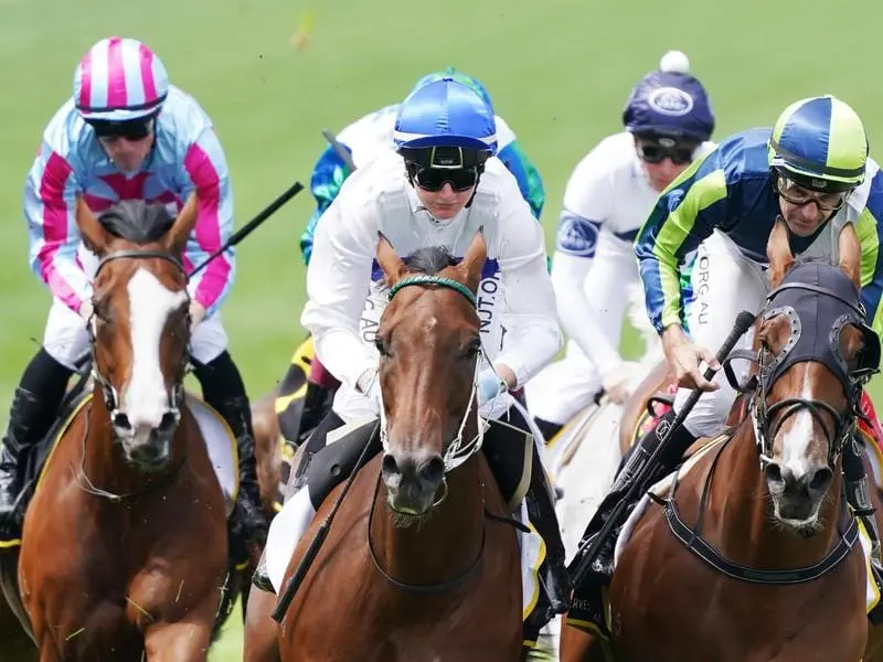 Paint The Town Two wins at Flemington.