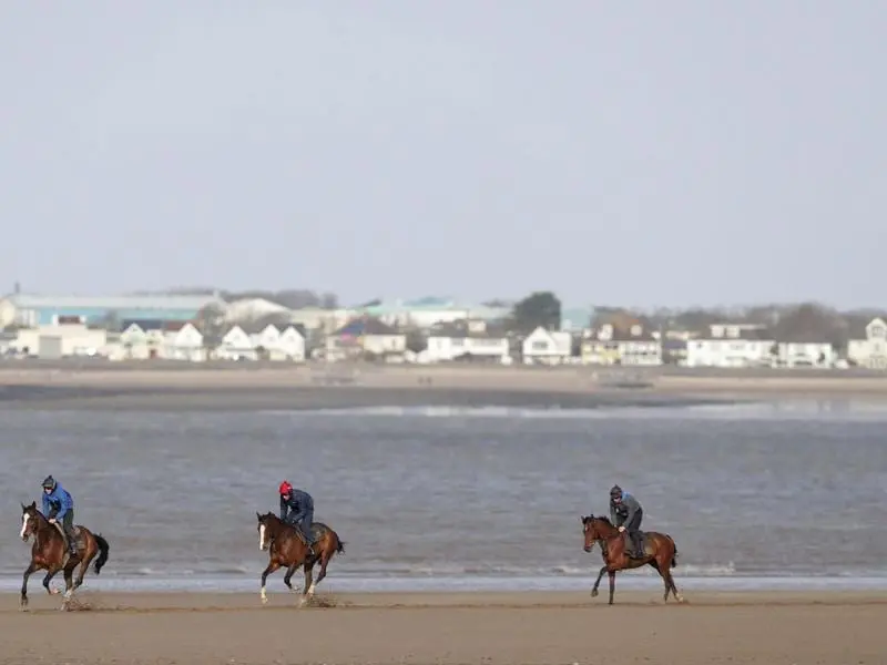 horses exercising in Britain