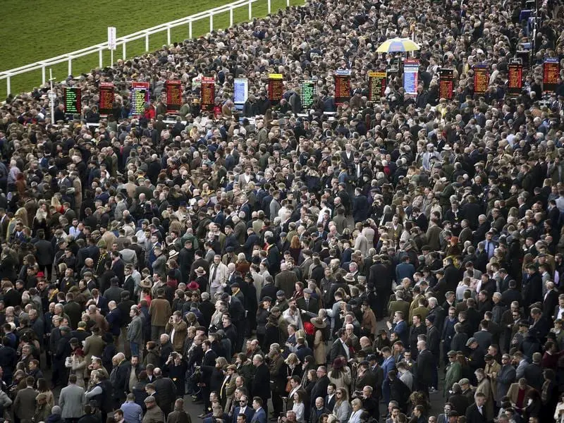 cheltenham crowd