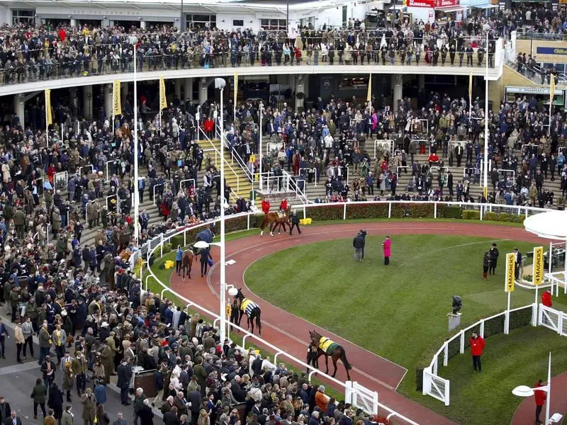 cheltenham crowd