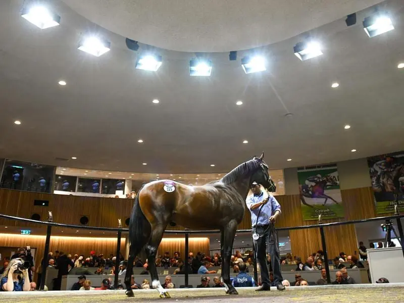 yearling sale