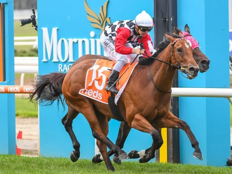 Diamond Effort wins at Mornington.